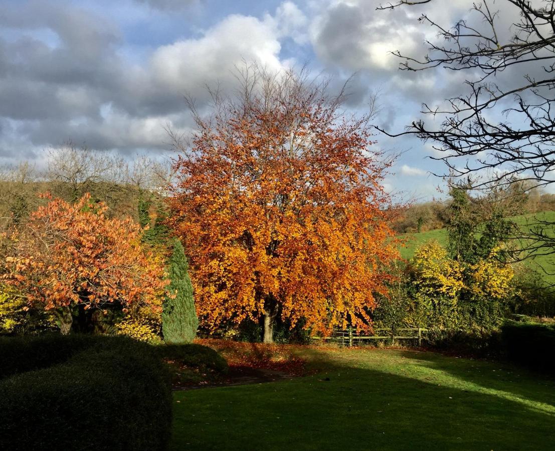 Bed and Breakfast Valley View Farm, Batcombe Shepton Mallet Exterior foto